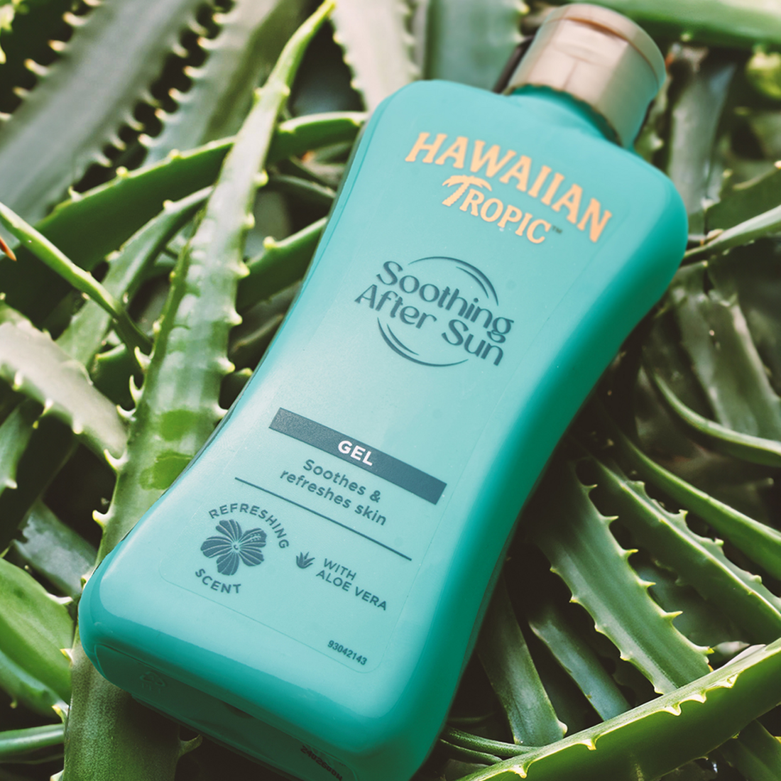¿El aloe vera ayuda a las quemaduras solares?
