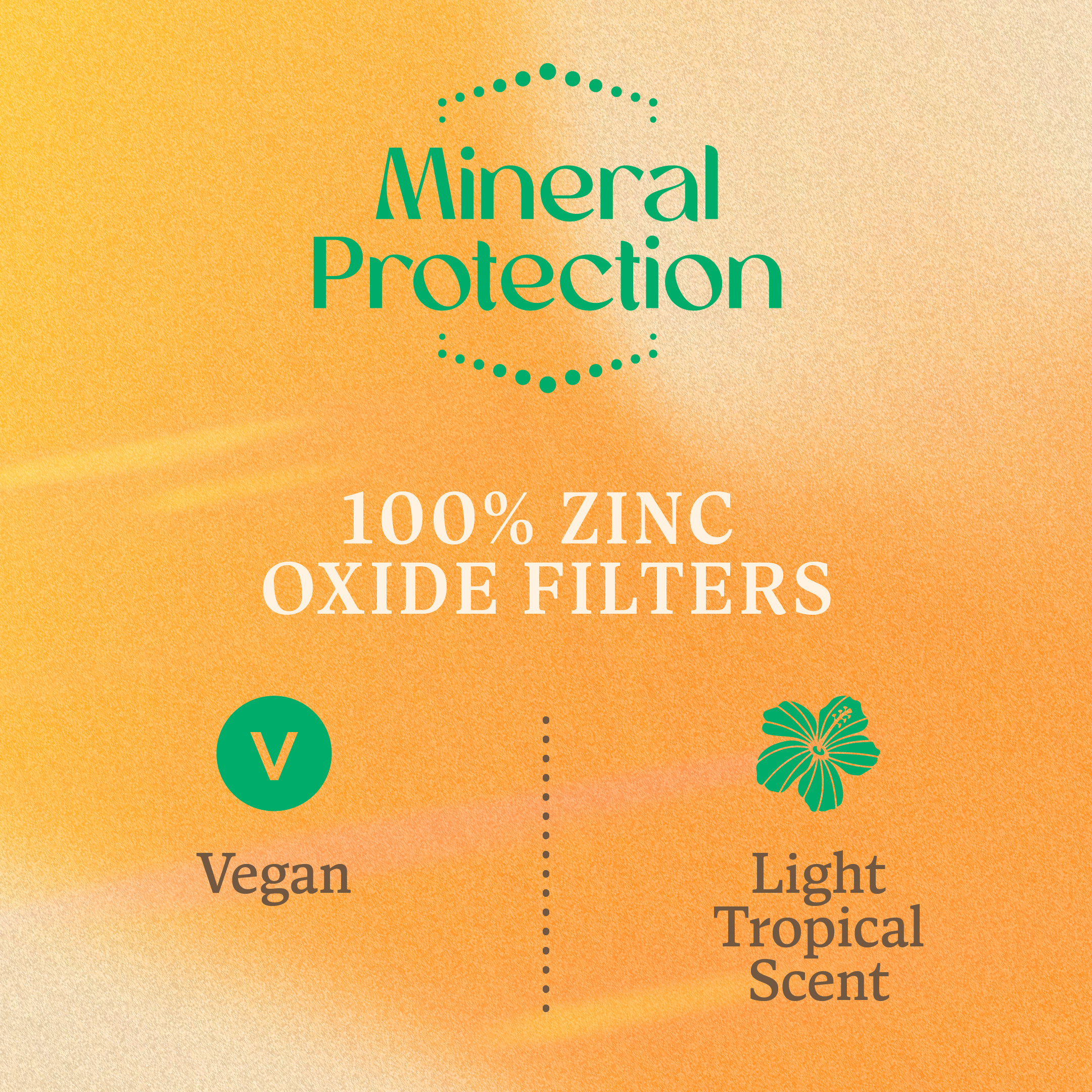 Mineral Brush FPS30 Polvo Solar con Brocha y Color